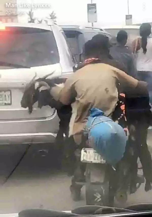 Singer Lynxx Shares Photos Of A Man Carrying Two Big Rams On His Lap While On A Motorcycle In Lagos